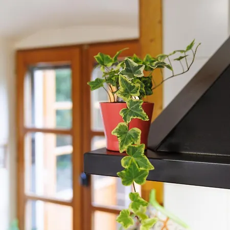 Moulin Du Bateau - De Charme - Piscine - Nature Dom wakacyjny *