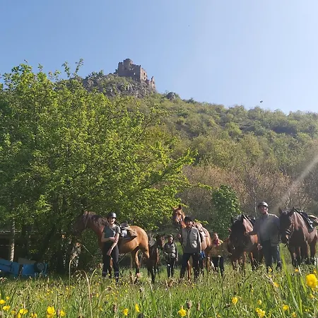 Moulin Du Bateau - De Charme - Piscine - Nature Dom wakacyjny Leotoing