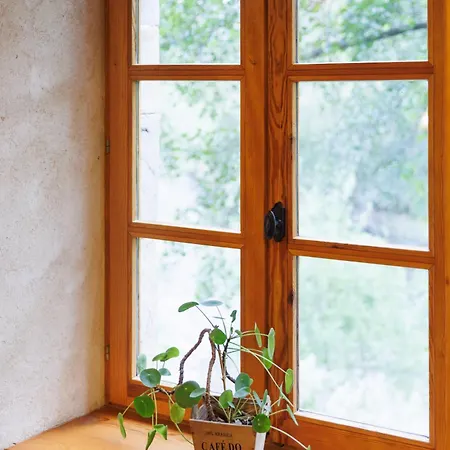 Moulin Du Bateau - De Charme - Piscine - Nature Dom wakacyjny *